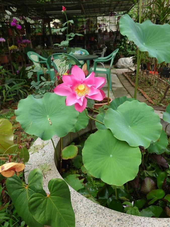 Garden Hostel Minxiong Экстерьер фото