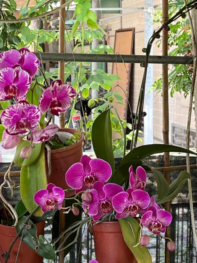 Garden Hostel Minxiong Экстерьер фото