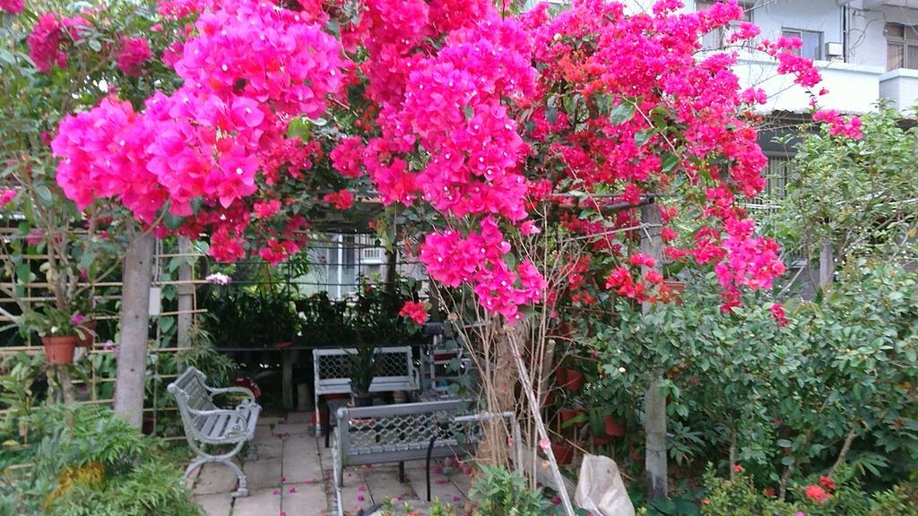 Garden Hostel Minxiong Экстерьер фото