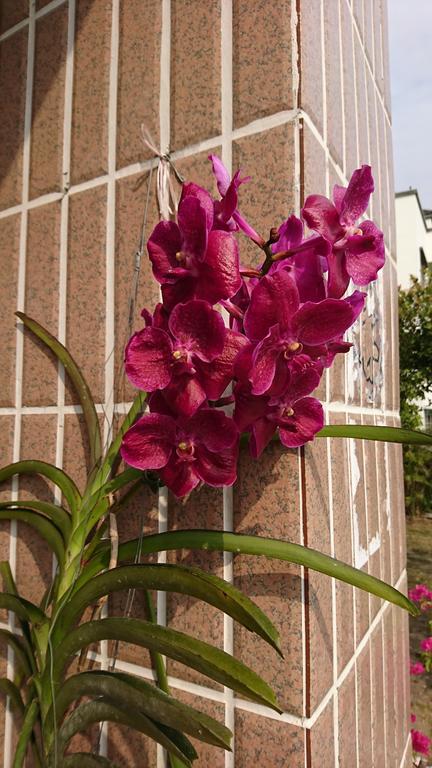 Garden Hostel Minxiong Экстерьер фото